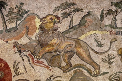 Floor mosaic of a lion tearing an antelope, corridor of the great hunt, Villa Romana del Casale,