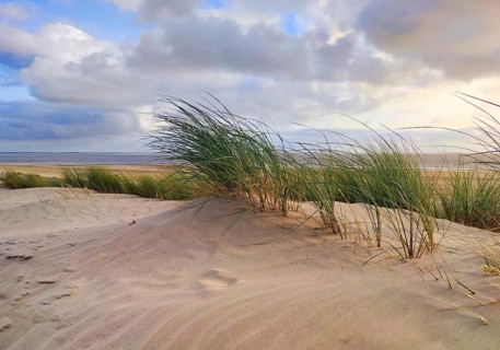 Dunes by the sea, Norderney Island, East Frisia, North Sea, Lower Saxony, Germany, Europe