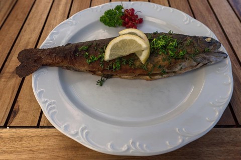 Trout Müllerin Art served in a garden restaurant, Franconia, Bavaria, Germany, Europe