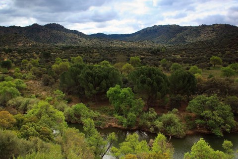 Rio Jandula, Sierra de Andujar National Park, Jaon Province, Andalusia, Spain, Europe