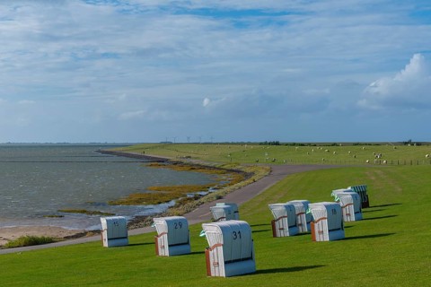 Beach chairs on the North Sea dike, flock of sheep, Fuhlehörn, Nordstrand peninsula, North Sea,