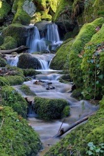 Gaishöll Waterfalls, near Sasbachwalden, Black Forest, Baden-Württemberg, Germany, Europe