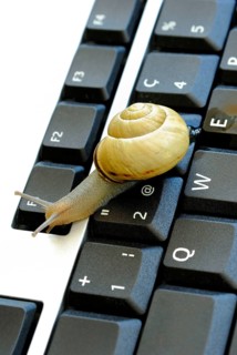 Snail on keyboard of computer, slow internet, slowness, slow, snail pace