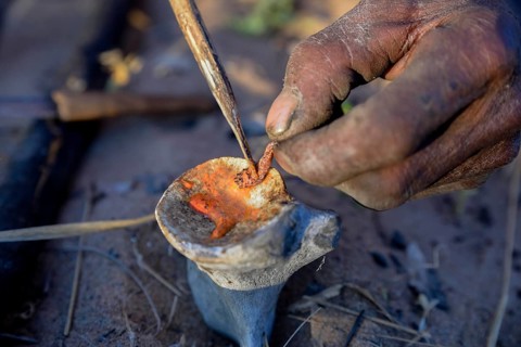 Bushman of the Ju/' Hoansi-San produces poisonous arrows from a larvae of the Bushman arrow-poison