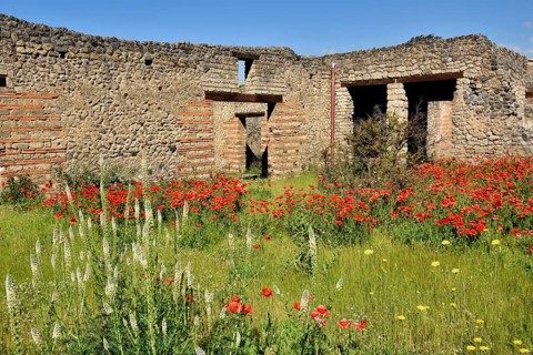 Ruins of a mansion, ancient city of Pompeii, Campania, Italy, Europe