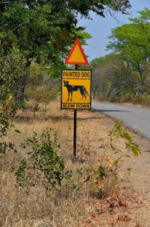 Warning Sign Painted dog, Attention African Wild Dogs, Hwange National Park, near Hwange,