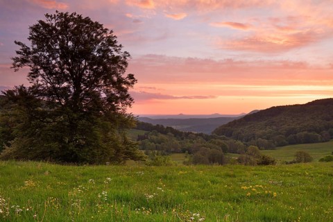 Randecker Maar on the Swabian Alb. Beautiful sunrise with the Drei Kaiser mountains in the distance