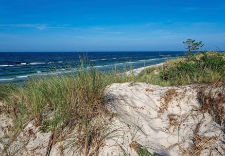 Dune landscape on the Polish Baltic coast in the Slowinski National Park, part of the UNESCO