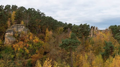 Five-fingered rock with colourful autumn leaves, sandstone formation in the Klusberge mountains,
