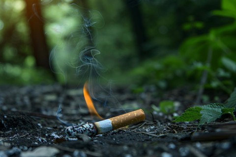 Burning cigarette butt on forest ground risking fire. KI generiert, generiert, AI generated