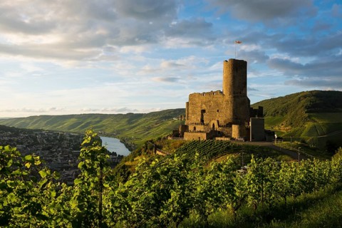 Landshut Castle, sunset, Moselsteig Trail, Bernkastel-Kues, Moselle, Rhineland-Palatinate, Germany,