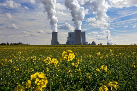 Neurath lignite-fired power station with rape field in bloom, Grevenbroich, North Rhine-Westphalia,