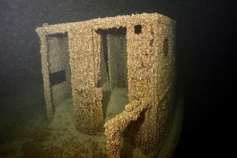 The driver's cabin of a submerged shipwreck is covered with mussels, Quagga triangle mussel