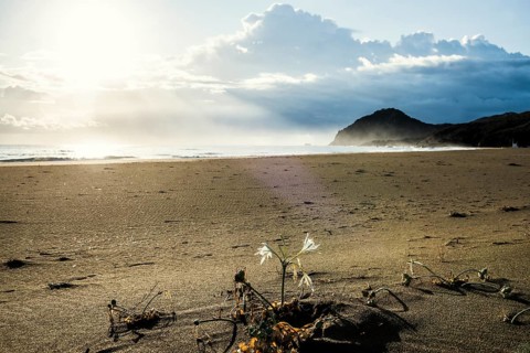 Lonely beach, Spiaggia Feraxi, sunrise, Capo Ferrato, Muravera, Province of Cagliari, Sardinia,
