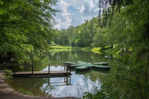 Boats anchored on the Hilschweiher, Edenkobener Tal, Palatinate Forest, Palatinate,