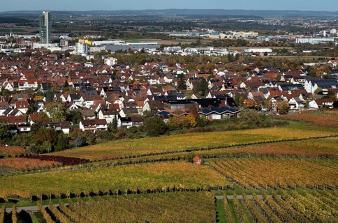 View of half-finished high-rise building GEWA-Tower, ruined building, vineyard, vines, vine
