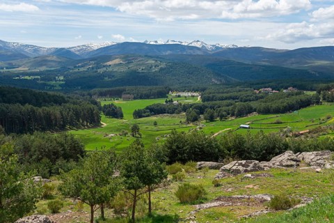 Panoramic view of a green mountain landscape with forests, meadows, snow-capped mountains and blue