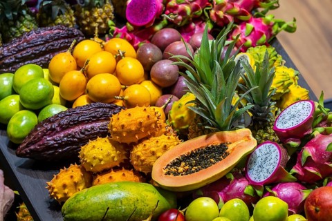 Exotic fruits, lychee, jackfruit, dragon fruit, mango and citrus fruits presented on a table,
