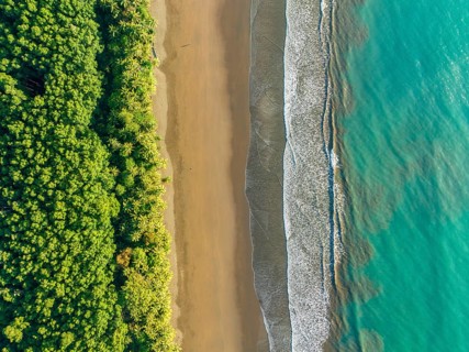 Top-down, aerial view, waves, beach and rainforest, Marino Ballena National Park, Osa National