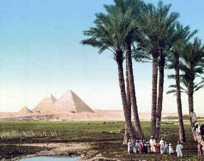 Palms and the Great Pyramid near Cairo, Egypt, Historical, digitally restored reproduction from a