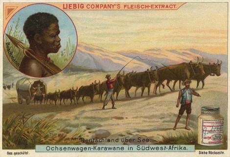 Picture series German overseas colonies, Ox-wagon caravan in Southwest Africa, Namibia, Liebig