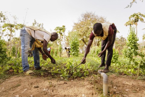 Farmers practising organic farming at the agroecological training centre Centre Beo-Noree in