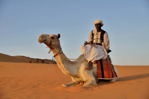 Man on camel, Meroë, Nubia, River Nile state, Sudan, Africa