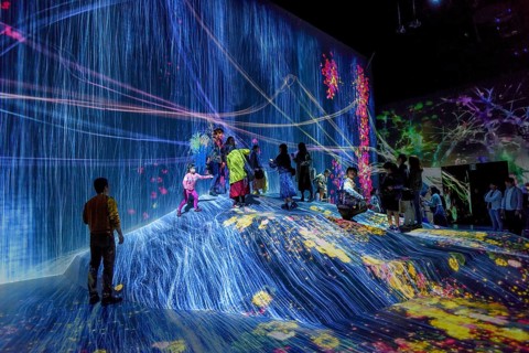 Digital Art Museum, Epson Team Lab Borderless, Odaiba Island, Tokyo, Japan, Asia