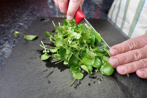 Watercress (Nasturtium officinale), fresh cress for the preparation of a cress soup, cutting board,