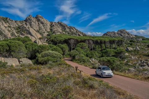Mountain landscape with pine, car on road, Caprera island, Olbia-Tempio Province, Sardinia, Italy,