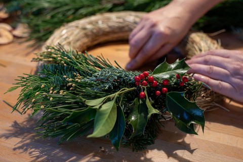Advent wreath, holly, fir greenery, Germany, Europe