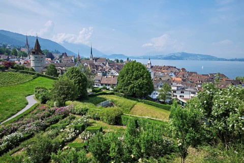 View from the rose garden at the Guggi to the Zytturm, Capuchin tower and church, Old Town, Zug,