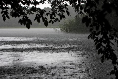 Raindrops, heavy rain, thunderstorm, Müritz National Park, Mecklenburg-Vorpommern, Germany, Europe