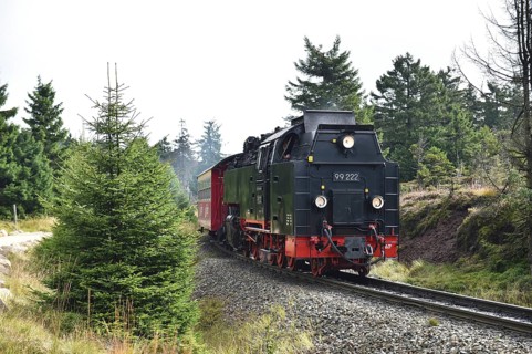 Harz narrow-gauge railway on the way to the Brocken, Saxony-Anhalt, Germany, Europe