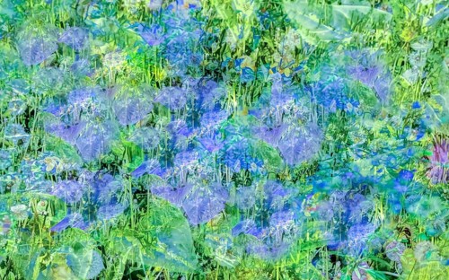 Oil painting, purple flowers creative, different plants mixed, artistic shot, purple flowers