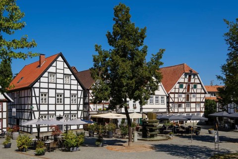 Council fountain and half-timbered houses at Vreithof, Old Town, Soest, North Rhine-Westphalia,