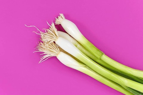 Bunch of green spring onions bulbs on purple background