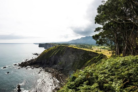 Steep coast, Ribadesella, Asturias, Asturias, Costa Verde, Northern Spain, Spain, Europe