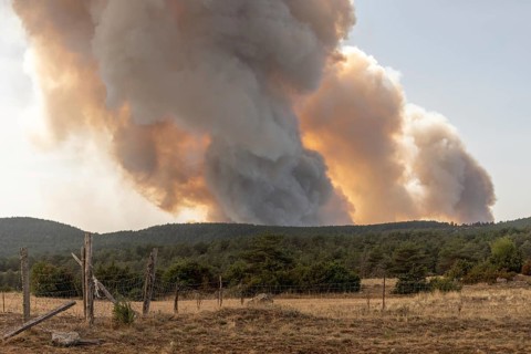 Forest fire wreaks havoc on causse de sauveterre. Montuejols, Aveyron, Cevennes, France, Europe