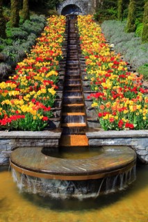 Water feature and tulips, Mainau Island, Lake Constance, Constance, Baden-Württemberg, Germany,