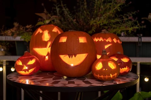Pumpkin frats, carved pumpkins, Halloween, Germany, Europe