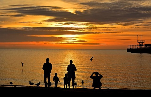 Family (silhouettes) feeding seagulls in the sunrise, Baltic Sea, Schleswig-Holstein, Germany,