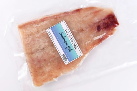 Lab grown cell cultured salmon fish concept for artificial in vitro seafood production with frozen