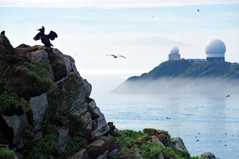 Cormorant spreads its wings on rocks to dry, fog over a bay and radar station, Hornøya, Vardö.