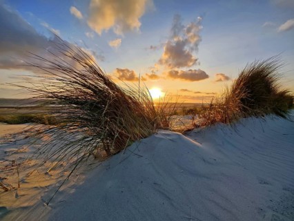 Dunes by the sea with sunset, Norderney Island, East Frisia, North Sea, Lower Saxony, Germany,