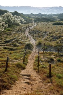 Sand path through the dunes at San Bou beach, Camí de Cavalls, Menorca, Balearic Islands, Spain,