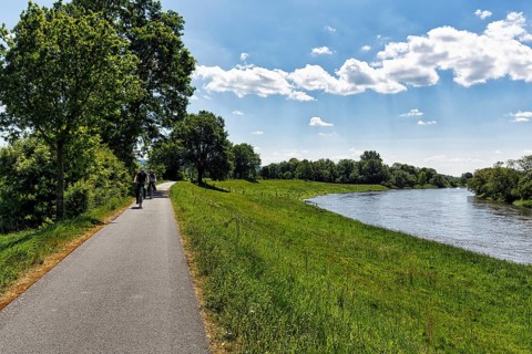 Cyclist on the Weser, on the Weser cycle path in summer, long-distance cycle path, backlight,