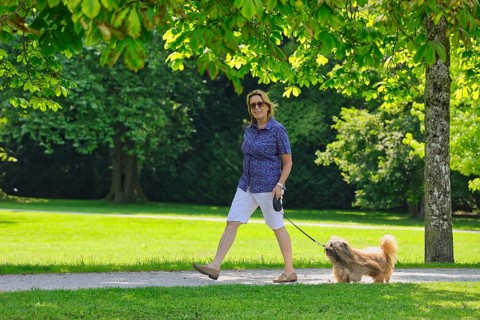 Woman takes Lhasa Apso for a walk in the park