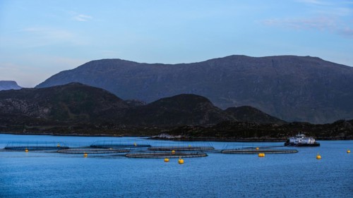 Sunset over Salmon farm in Norway, Innvikfjorden, Olden, Norway, Europe