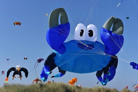 Kite festival, flying kites on Schönberg beach, Schleswig-Holstein, Germany, Europe